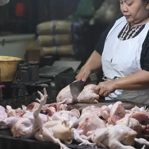 Daging Ayam Ras dan Tomat Sumbang Angka Inflasi di Kota Pematangsiantar