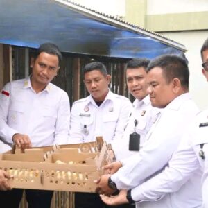 Dukung Ketahanan Pangan Nasional, Lapas Narkotika Langkat Kembangkan Budidaya Ayam Petelur dan Pedaging