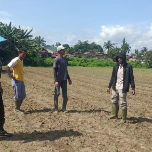 Dukung Ketahanan Pangan, Bhabinkamtibmas Parhorasan Dorong Warga Tanam Jagung