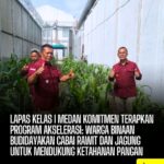 Lapas Kelas I Medan Komitmen Terapkan Program Akselerasi, WBP Budidayakan Cabai dan Jagung Dukung Hanpang